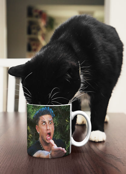 Pauly D Mug Angry DJ Coffee Mug