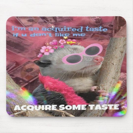 Acquired Taste Opossum Funny Mousepad Gift